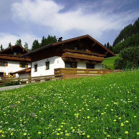 Haus Steinkarblick Und Berghaeusl Hotel Berwang Buitenkant foto